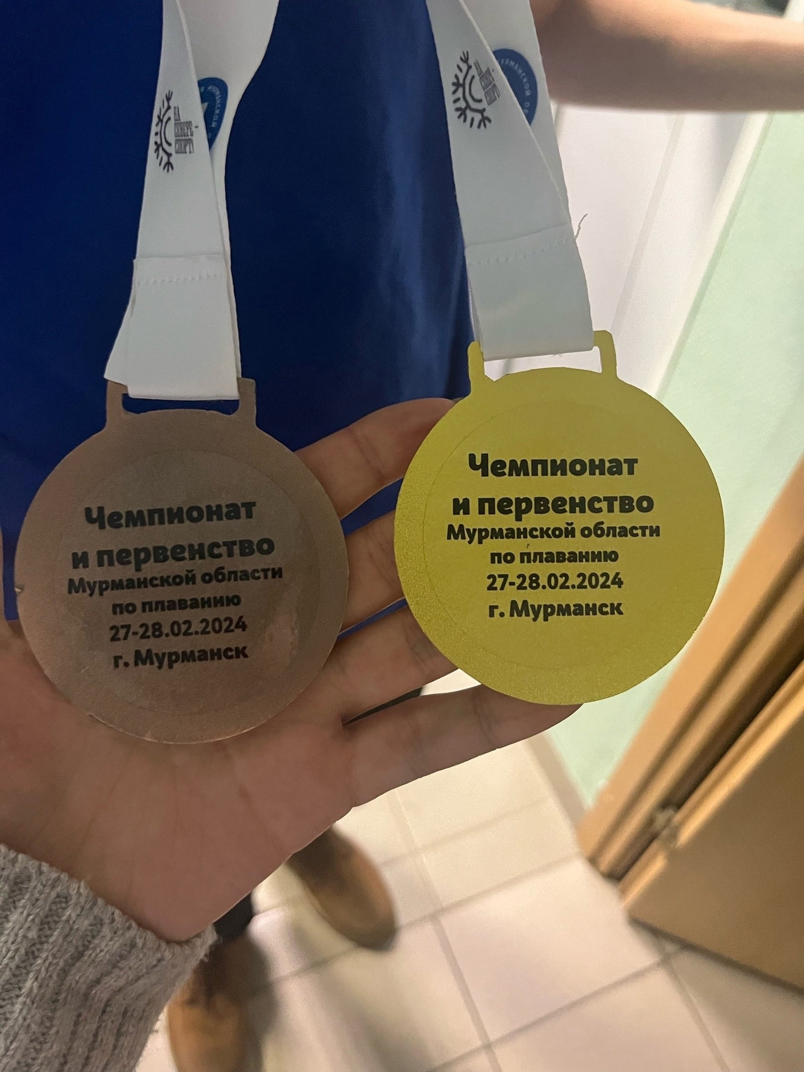Чемпионат и Первенство Мурманской области по плаванию.